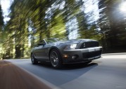 Shelby Cobra GT500 Show Car